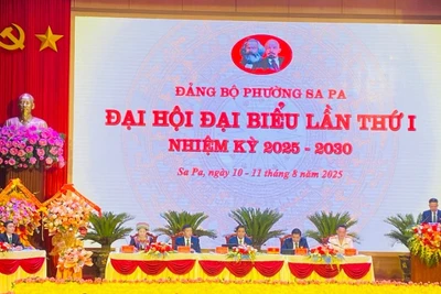 Toàn cảnh Đại hội Đại biểu Đảng bộ phường Sa Pa lần thứ I nhiệm kỳ 2025-2030.