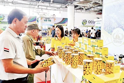 Sản phẩm trà hoa vàng của xã Ba Chẽ ngày càng nhận được sự tin yêu của người tiêu dùng trong và ngoài tỉnh.