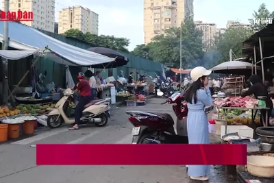 [Video] Giá rau tăng mạnh, bữa cơm nhiều gia đình bị “thu hẹp”