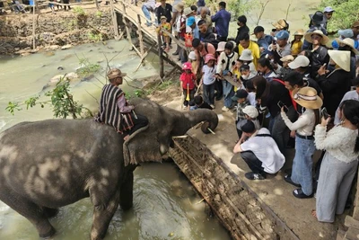 Đông đảo du khách đến tham quan, vui chơi tại Trung tâm du lịch cầu treo Buôn Đôn.