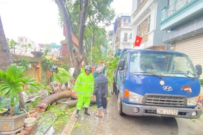 Lực lượng chức năng phường Long Biên xử lý cây xanh gãy đổ sau trận dông lốc ngày 19/7.