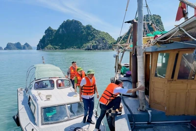 Các lực lượng kiểm tra, vận động nhân dân chèo chống tàu thuyền phòng chống bão số 9. Ảnh: Bộ đội Biên phòng tỉnh Quảng Ninh