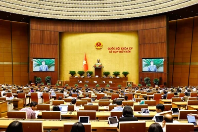 Quốc hội thảo luận về cơ chế, chính sách phát triển kinh tế tư nhân (Nguồn: TTXVN)