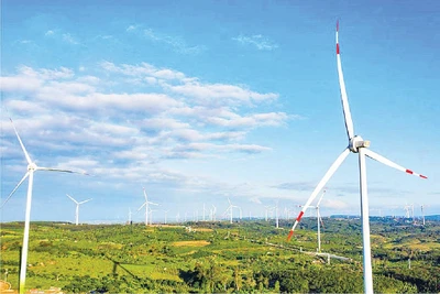 Cánh đồng điện gió Ea Nam, Đắk Lắk. Ảnh: Trung Nam