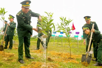 Cán bộ, chiến sĩ Bộ đội Biên phòng tỉnh Quảng Trị ra quân trồng cây đầu xuân Bính Ngọ 2026.