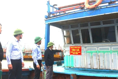 Các đơn vị chức năng của tỉnh Quảng Trị kiểm tra, niêm phong tàu cá “3 không” để quản lý chặt chẽ, cụ thể.