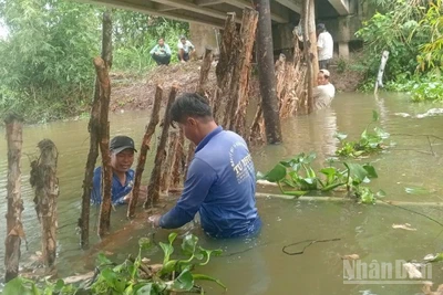 Người dân xã Mỹ Thành, tỉnh Đồng Tháp chủ động đắp đập tạm để bảo vệ vườn cây ăn trái của mình khi triều cường dâng cao.
