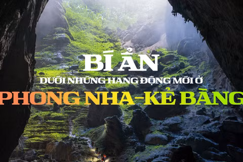 Bí ẩn dưới những hang động mới ở Phong Nha-Kẻ Bàng