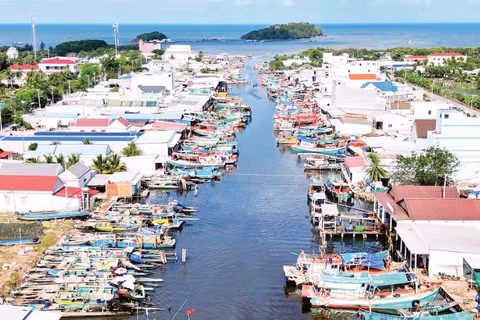 Tàu cá neo đậu tấp nập tại miền biển xã Đá Bạc, tỉnh Cà Mau, ảnh chụp ngày 24/3.