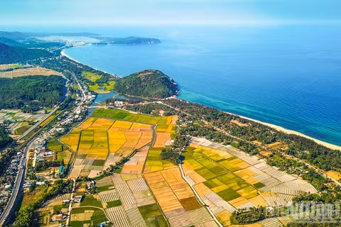 Tài nguyên biển, đảo là giá trị cốt lõi tạo nên thương hiệu du lịch Quảng Ngãi.