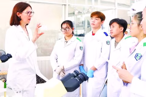 Giáo sư Emilie Allard-Vannier, Đại học Tours (Pháp) hướng dẫn sinh viên Trường đại học Khoa học Sức khỏe (Đại học Quốc gia Thành phố Hồ Chí Minh) làm thí nghiệm. (Ảnh: UHS)
