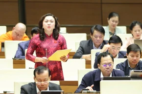 Phó Trưởng Đoàn chuyên trách phụ trách Đoàn đại biểu Quốc hội tỉnh Phú Thọ Đặng Bích Ngọc. (Ảnh: DUY LINH)