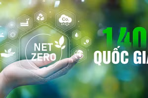 [Video] NET ZERO - Hành trình hướng tới tương lai xanh