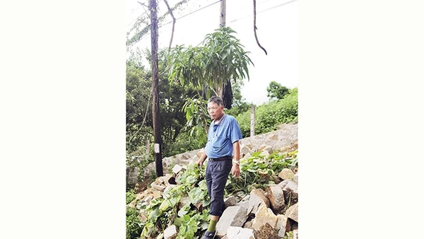 Người lính già Đỗ Xuân Cường nhớ lại những ngày chiến đấu ở Huế.