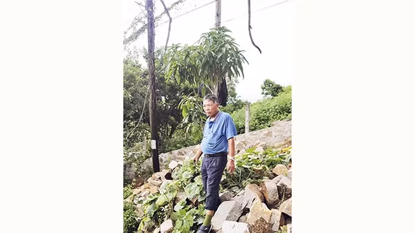 Người lính già Đỗ Xuân Cường nhớ lại những ngày chiến đấu ở Huế.