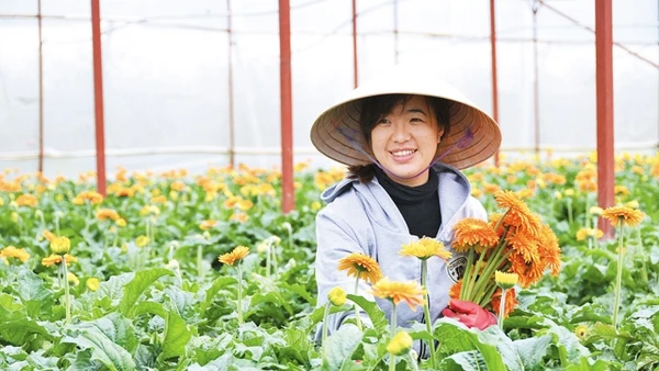 Thành bại ở con người