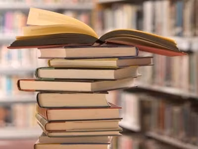 Phê bình văn học đang làm gì?