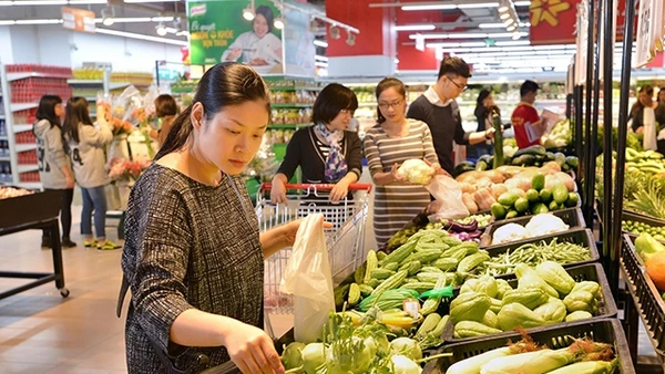 Nhiều thương hiệu lớn của Việt Nam đang chạy đua đầu tư vào lĩnh vực nông nghiệp xanh, sạch.Ảnh: THU HÀ