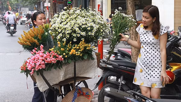 Cúc họa mi theo chân xe hàng rong về phố. Ảnh: Lê MINH