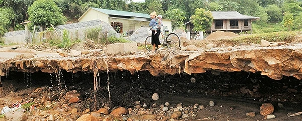 Trở tay khi còn kịp