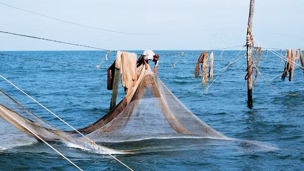 Nghề bạn chòi giữ đáy hàng khơi quá nghiệt ngã, quá nguy hiểm và cực khổ. Ảnh: Thanh Trà
