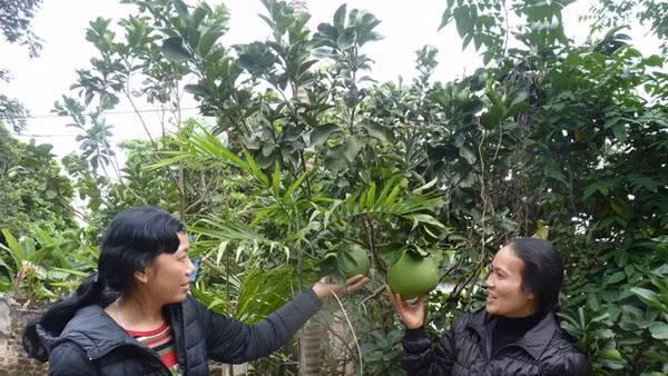 Nương tựa vào nhau, những người phụ nữ kém may mắn này đang cùng tìm lại niềm vui sống cho mình và người thân.