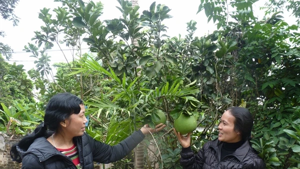 Nương tựa vào nhau, những người phụ nữ kém may mắn này đang cùng tìm lại niềm vui sống cho mình và người thân.