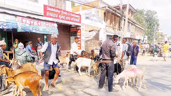 Chợ dê đường Bag Bazaar ở Kathmandu. 