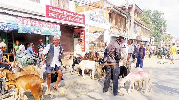 Chợ dê đường Bag Bazaar ở Kathmandu. 