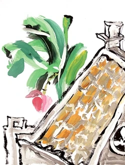 Minh họa PHƯƠNG HIỀN