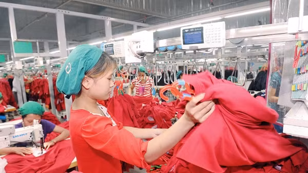 Ngành may xuất khẩu là nguồn thu ngoại tệ lớn cho đất nước.         Ảnh: thanh chương