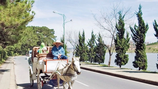 Thơ mộng Ðà Lạt. 