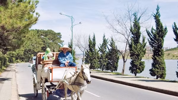 Thơ mộng Ðà Lạt. 