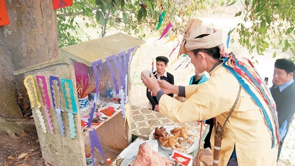 Nghi lễ cúng rừng đầu năm mới để tri ân rừng xanh của đồng bào dân tộc thiểu số ở Lào Cai.