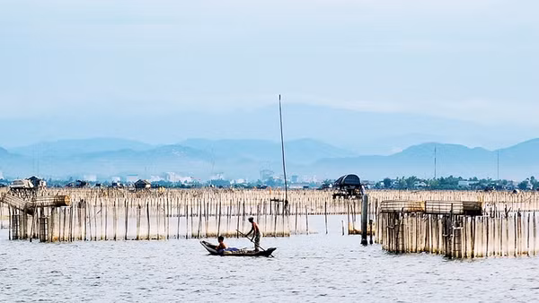 Cuộc sống của người dân vùng phá Tam Giang đang đổi thay từng ngày.