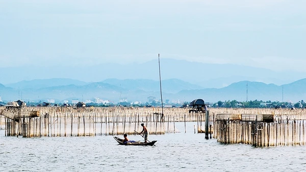 Cuộc sống của người dân vùng phá Tam Giang đang đổi thay từng ngày.