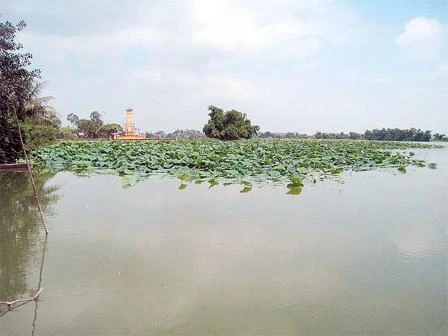 Thanh khiết Loa Hồ