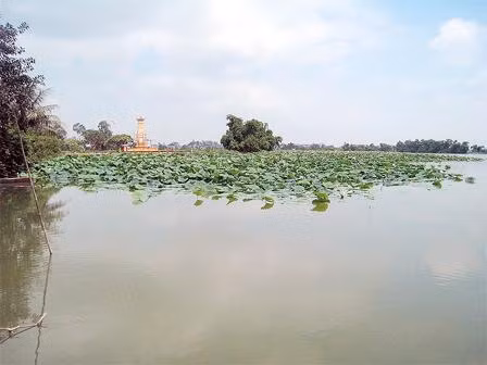 Thanh khiết Loa Hồ