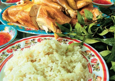 Cơm gà Phan Rang chính hiệu.