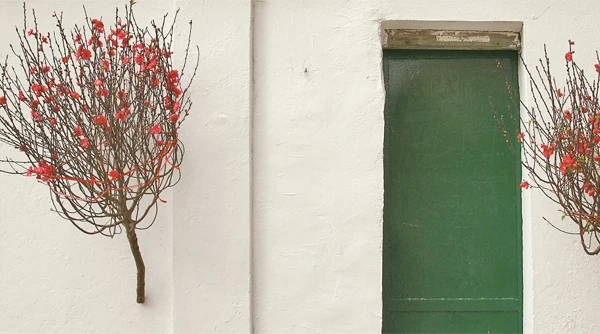 Xuân trong phố cổ 