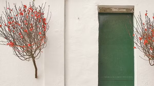 Xuân trong phố cổ 