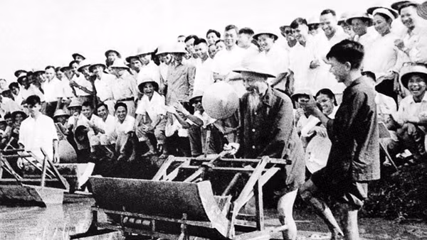 Chủ tịch Hồ Chí Minh dùng thử máy cấy lúa cải tiến tại trại thí nghiệm trồng lúa Sở Nông lâm Hà Nội (16-7-1960).