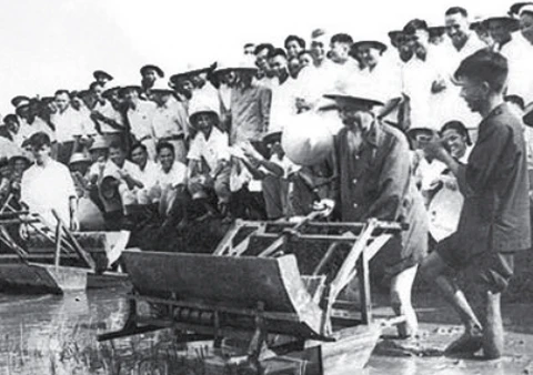 Bác Hồ dùng thử máy cấy tại trại thí nghiệm lúa thuộc Sở Nông lâm Hà Nội, năm 1960. Ảnh: TL
