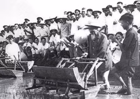Bác Hồ dùng thử máy cấy tại trại thí nghiệm lúa thuộc Sở Nông lâm Hà Nội, năm 1960. Ảnh: TL