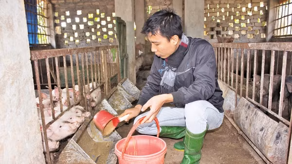 Anh Phùng Minh Thuần áp dụng công nghệ sạch tại trang trại I-Nature.