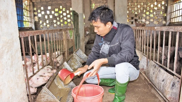 Anh Phùng Minh Thuần áp dụng công nghệ sạch tại trang trại I-Nature.