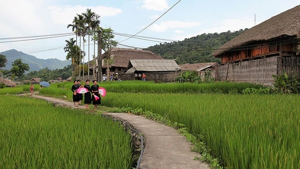 Hành trình trở về tuổi thơ