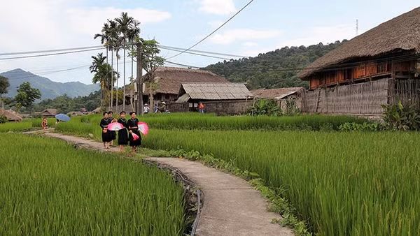 Hành trình trở về tuổi thơ