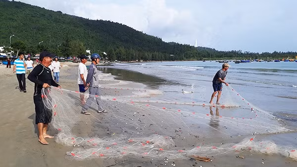 Kéo lưới vây ở biển Sơn Trà.