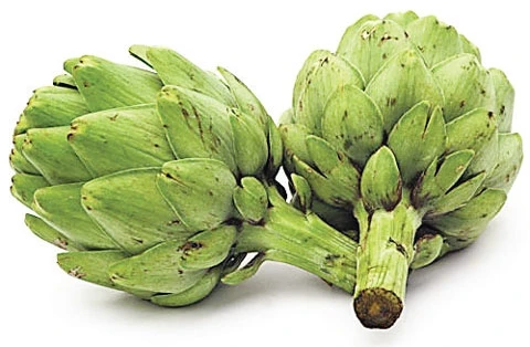 Hoa atisô - Sinh lực bữa giao mùa 